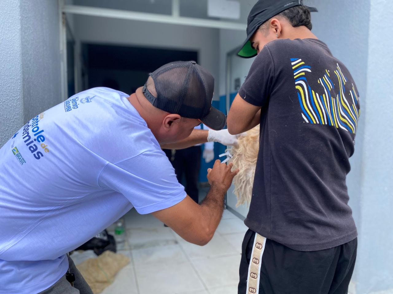 Dia D de Vacinação Antirrábica imuniza mais de 3,5 mil animais em Delmiro Gouveia